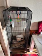 Vogel kooi, Dieren en Toebehoren, Vogels | Hokken en Kooien, Ophalen, Zo goed als nieuw, Metaal, Vogelkooi