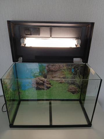 Juwel Aquarium 60 cm beschikbaar voor biedingen