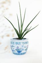 Chinese bloempot groot, Ophalen of Verzenden