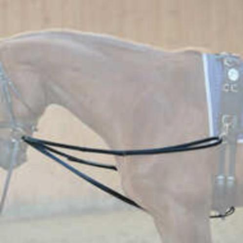 NIEUW Driehoeksteugel / Weense (Wiener) teugel Zwart Full le, Dieren en Toebehoren, Paarden en Pony's | Hoofdstellen en Tuigage