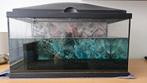Aquarium met red cherry garnalen en accessoires, Dieren en Toebehoren, Vissen | Aquaria en Toebehoren, Ophalen, Gebruikt, Gevuld zoetwateraquarium