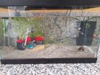 Compleet aquarium Ciano, Dieren en Toebehoren, Vissen | Aquaria en Toebehoren, Ophalen, Zo goed als nieuw, Gevuld zoetwateraquarium