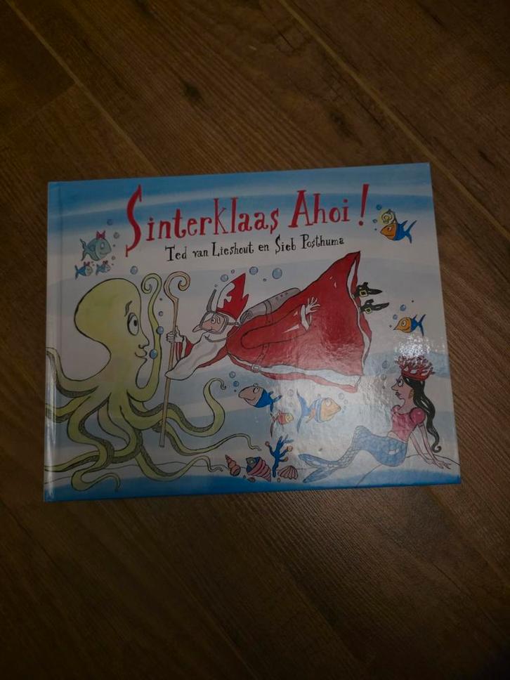 Sinterklaas Ahoi! - Ted van Lieshout, Boeken, Kinderboeken | Jeugd | onder 10 jaar, Zo goed als nieuw, Sprookjes, Ophalen