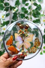 Vintage bollijst met droogbloemen en vlinders, Ophalen of Verzenden