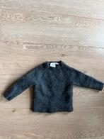 Zara trui. Het label zegt 110, maar ik denk dat het 80 ., Ophalen of Verzenden, Zo goed als nieuw