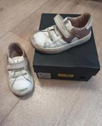 Tommy hilfinger schoenen gympen 26, Meisje, Ophalen of Verzenden, Gebruikt, Schoentjes