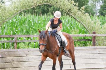 Talentvolle 8 jarige dressuurmerrie beschikbaar voor biedingen