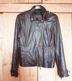 Studio AR leren jasje maat 38, Maat 38/40 (M), Bruin, Studio AR, Ophalen of Verzenden