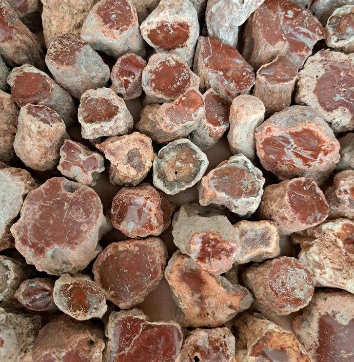 Actie! Fossiele Versteend Hout stammetjes mineraal edelsteen, Verzamelen, Mineralen en Fossielen, Ophalen of Verzenden