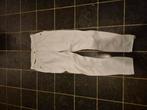 Witte rijbroek van Euro-Star maat 42, Gebruikt, Dressuur, Dames, Onderkleding