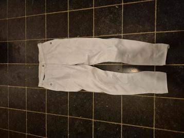 Witte rijbroek van Euro-Star maat 42 beschikbaar voor biedingen