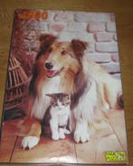 Puzzel 1000 stukjes. Lassie hond. Merk : Fame puzzels, Ophalen of Verzenden, 500 t/m 1500 stukjes, Gebruikt, Legpuzzel