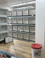 Stelling voor 40 TT kooien, Ophalen, Hout, Broedkooi of Kweekkooi