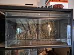 Degelijk terrarium te koop., Dieren en Toebehoren, Reptielen en Amfibieën | Toebehoren, Ophalen, Gebruikt