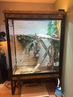 Groot terrarium, Dieren en Toebehoren, Reptielen en Amfibieën | Toebehoren, Ophalen, Gebruikt, Terrarium of Paludarium