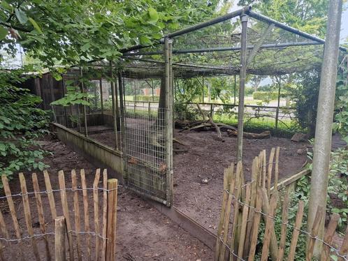 Dierenveblijf, Dieren en Toebehoren, Pluimvee, Kip, Meerdere dieren