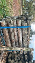 Haardhout, stammen, Tuin en Terras, Haardhout, 6 m³ of meer, Ophalen, Stammen