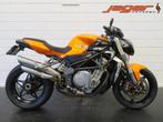 MV Agusta BRUTALE 910 R TOPSTAAT! (bj 2007), Motoren, Bedrijf, Naked bike