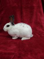 Kleinrex / Amerikaanse mini rex rammetje, Dieren en Toebehoren, Konijnen, Mannelijk, Dwerg