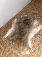 Konijn vacht, Huis en Inrichting, Ophalen