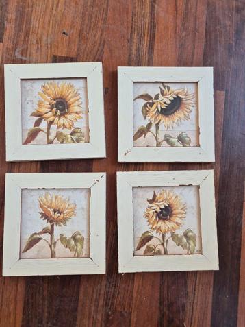 4x Schilderij Zonnebloem beschikbaar voor biedingen