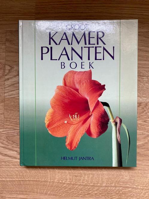 Vintage boek: Helmut Jantra - Groot Kamerplanten boek, Boeken, Wonen en Tuinieren, Zo goed als nieuw, Tuinieren en Tuinplanten