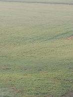 Weiland tuin bouwland grond te huur gevraagd., Dieren en Toebehoren, Stalling en Weidegang