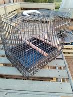 Transport bench voor papegaaien, Dieren en Toebehoren, Ophalen, Zo goed als nieuw, Metaal, Vogelkooi