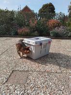 Transportbox, Dieren en Toebehoren, Katten-accessoires, Ophalen, Gebruikt
