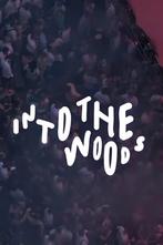 Te koop: 2 x weekend tickets Into The Woods 2025, Tickets en Kaartjes, Evenementen en Festivals, Twee personen