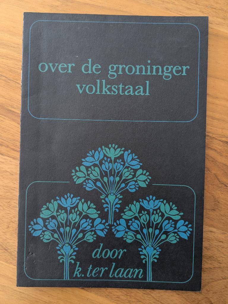 Over de groninger volkstaal, Boeken, Geschiedenis | Stad en Regio, Ophalen of Verzenden, Zo goed als nieuw, K.ter Laan