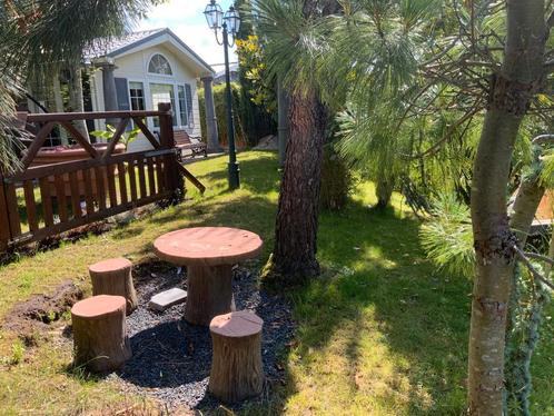 Chalet op eigengrond met grote tuin en grote vijver., Huizen en Kamers, Recreatiewoningen te koop, Overijssel, Chalet, Verkoop zonder makelaar
