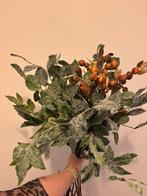 Zijde kunst takken, Ophalen, Halfschaduw, Minder dan 100 cm