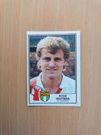 Panini Voetbal 85 #94 Peter Houtman., Ophalen of Verzenden, Zo goed als nieuw, Ajax, Poster, Plaatje of Sticker