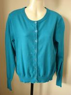 Le Pep mt S vest blauw met groene zweem. ZGAN., Kleding | Dames, Truien en Vesten, Le Pep, Blauw, Ophalen of Verzenden, Zo goed als nieuw
