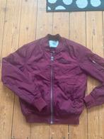 Bomberjack jas maat XS miss America bordeaux jack dames, Ophalen of Verzenden, Miss America, Maat 34 (XS) of kleiner, Gedragen