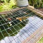 Koi karper +/_  37 cm, Dieren en Toebehoren, Vissen | Vijvervissen, Karper of Koi