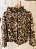 Tijgerprint Winterjas Maat S/M, Kleding | Dames, Ophalen of Verzenden, Zo goed als nieuw, Maat 38/40 (M), Bruin