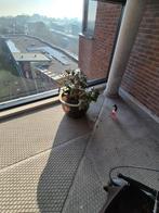 mooie pot, Tuin en Terras, Ophalen, Steen, Gebruikt, Minder dan 30 cm