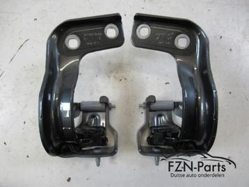 Audi Q5 8R Achterklepscharnieren Set L+R beschikbaar voor biedingen