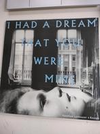 Indie rock HAMILTON LEITHAUSER + ROSTAM, Cd's en Dvd's, Vinyl | Rock, Ophalen of Verzenden, Zo goed als nieuw, 12 inch, Alternative