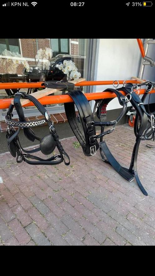 Enkel spantuig nieuw, Dieren en Toebehoren, Paarden en Pony's | Hoofdstellen en Tuigage, Nieuw, Ophalen of Verzenden