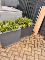 Adezz plantenbakken, Tuin en Terras, Kunststof, Gebruikt, Vierkant, 60 tot 100 cm