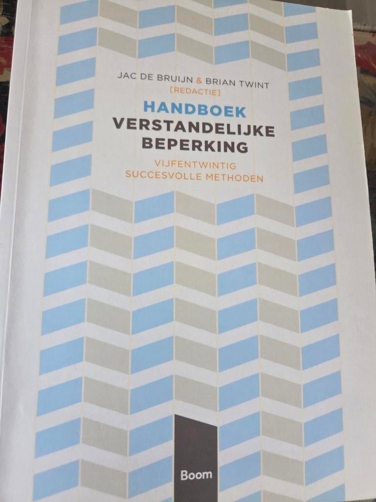 Handboek Verstandelijke Beperking - Jac de Bruijn, Ophalen of Verzenden, Zo goed als nieuw, Jac de Bruijn
