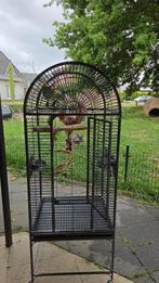 Papagaai kooi, Ophalen, Zo goed als nieuw, Metaal, Vogelkooi