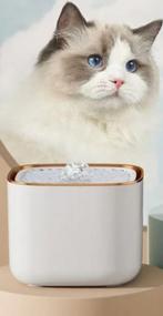 Kat drinkbak | Drinkfontein | Wit goud, Dieren en Toebehoren, Kattenvoerbakken en Drinkbakken, Ophalen of Verzenden, Nieuw