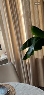 Linnenlook gordijnen, Ophalen, Crème, 200 cm of meer, Zo goed als nieuw