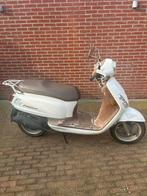 Sym fiddle 2 2009, Ophalen, Gebruikt, Benzine, Fiddle