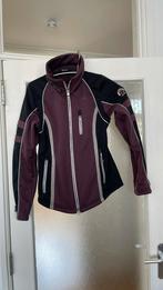 Pikeur softshell jas 36, Ophalen of Verzenden