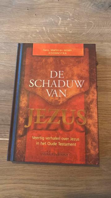 Martin Koornstra - De schaduw van Jezus beschikbaar voor biedingen